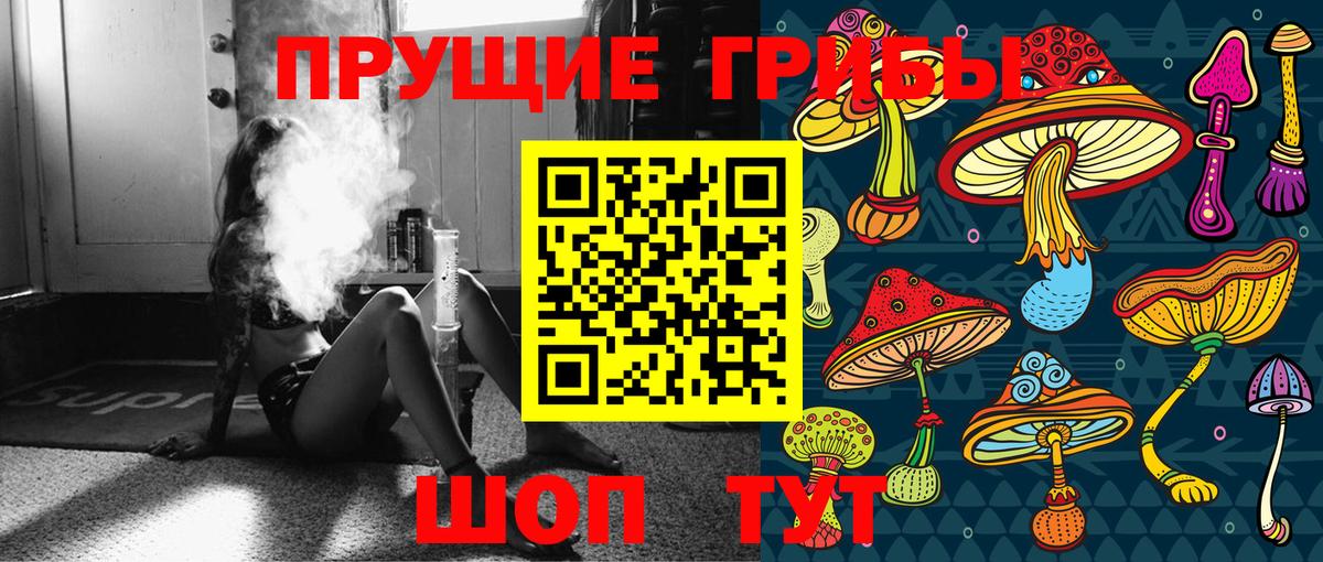 Соль-Илецк  Псилоцибиновые грибы мухоморы  Галлюциногенные грибы мицелий  где найти   Вход с VPN 
