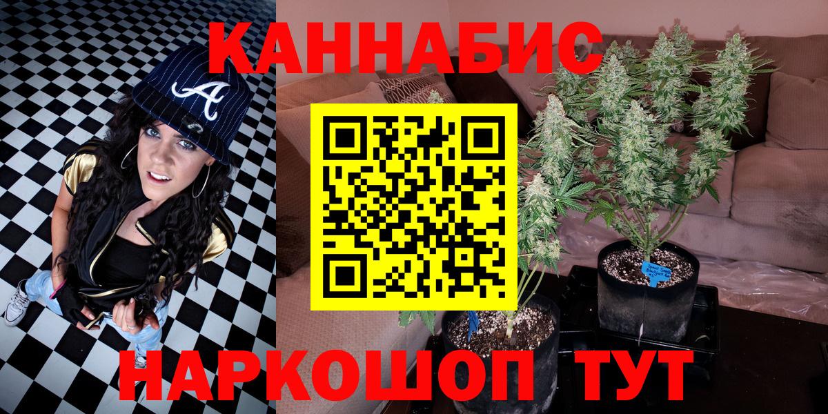 Бошки марихуана Ganja Соль-Илецк